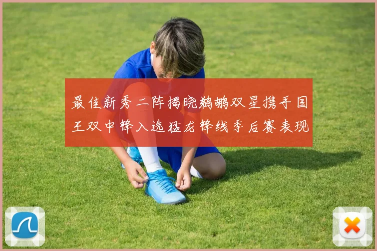 最佳新秀二阵揭晓鹈鹕双星携手国王双中锋入选猛龙锋线季后赛表现抢眼